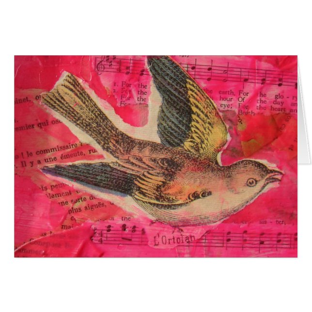 Hintergrundinformationen zu "Bird Mixed Media" (Vorderseite (Horizontal))