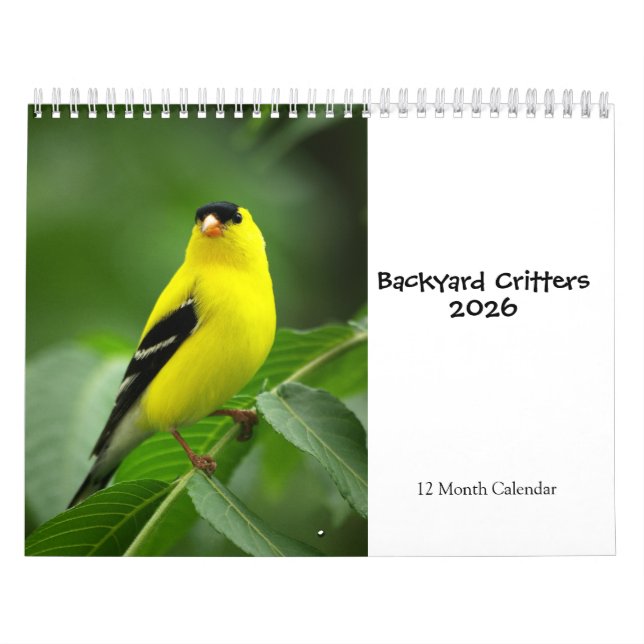 Hintergrundinformationen zum Kalender 2026 (Titelbild)