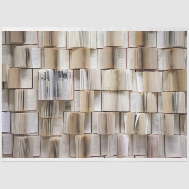 Hintergrundinformationen zum Öffnen des Buches - E Seidenpapier (Vorderseite)