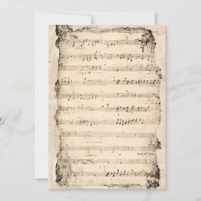 Hintergrundinformationen zur Einladung älterer Mus (Vorderseite)