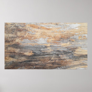 Hintergrundtextur alte schöne Baumstruktur, Beck Poster