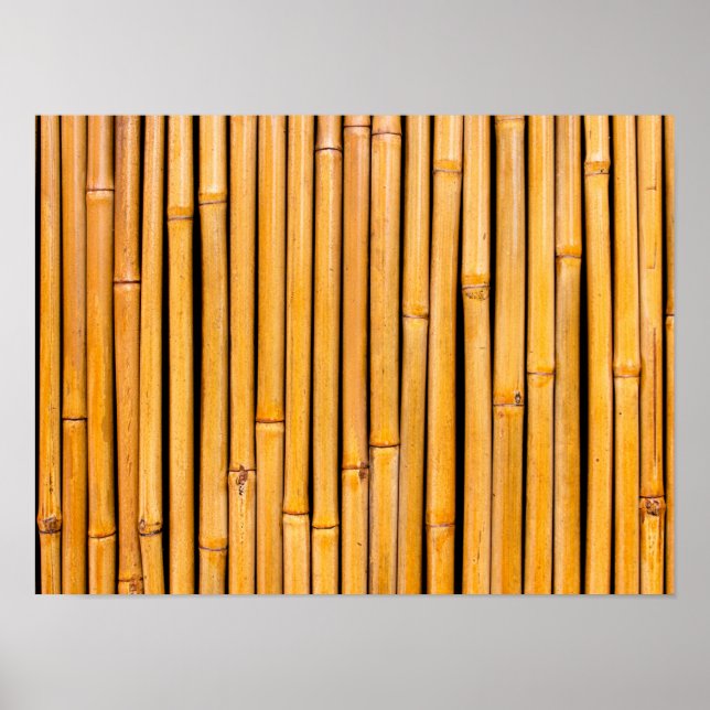 Hintergrundvorlage für tropisch-hawaiianisches Bam Poster (Vorne)