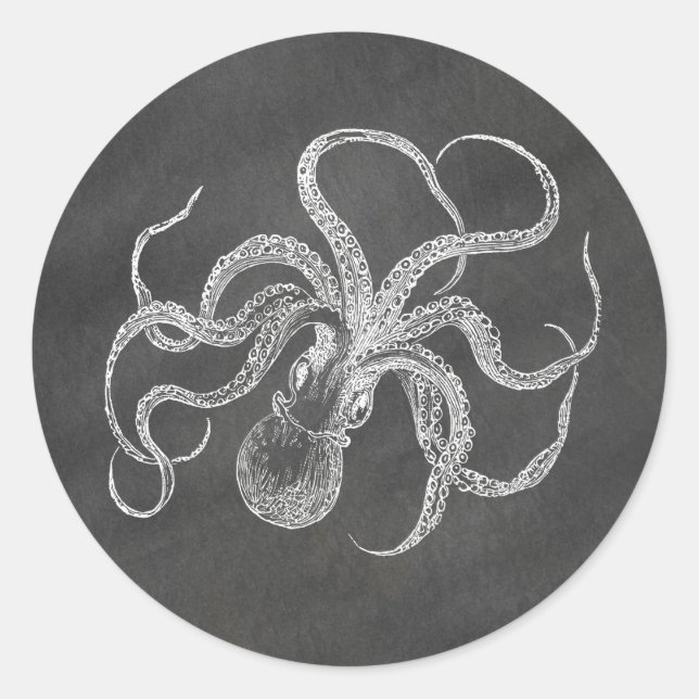 Hintergrundvorlage zum Vintagen Oktopus-Chalkboard Runder Aufkleber (Vorderseite)