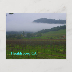 Hinterhof, Healdsburg, CA Postkarte