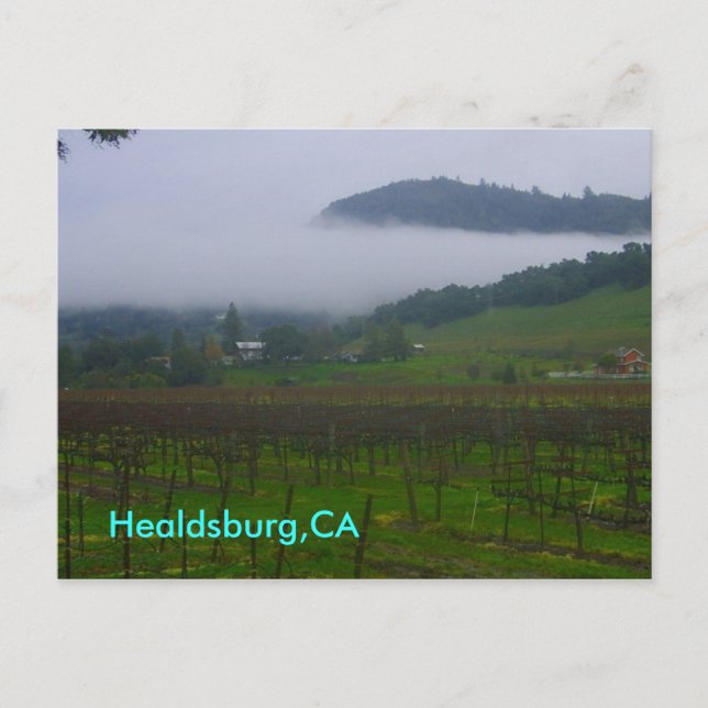 Hinterhof, Healdsburg, CA Postkarte (Vorderseite)