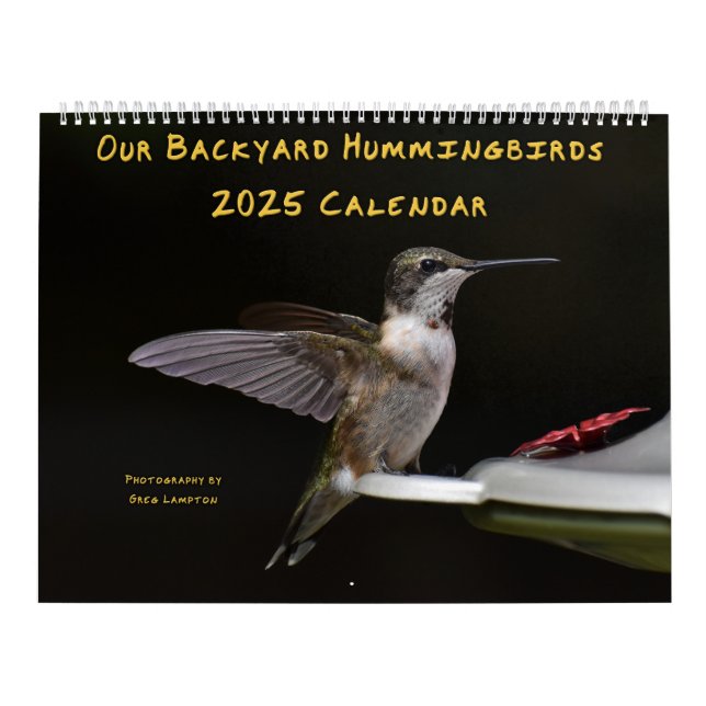 Hinterhof Hummingbirds 11" x 14,25" Kalender (Titelbild)