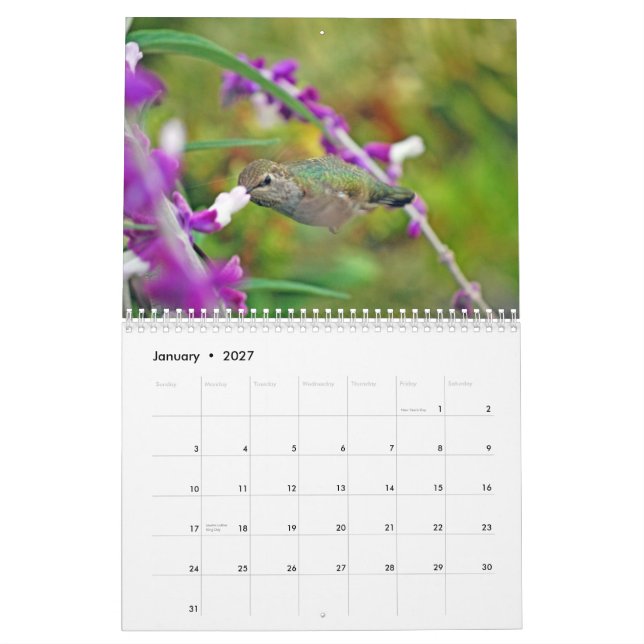 Hinterhof-Kolibri-Kalender Kalender (Jan 2027)