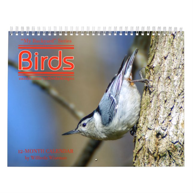Hinterhof-Vogel-Kalender 3. in den Reihen Kalender (Titelbild)