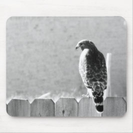 Hinterhofbesucher Mousepad