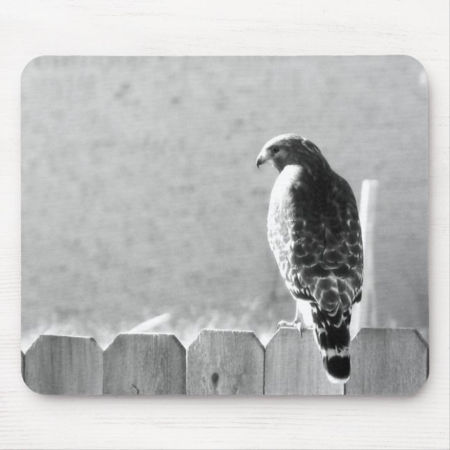 Hinterhofbesucher Mousepad (Vorne)
