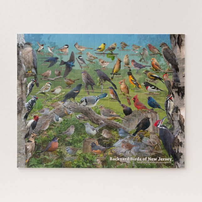 Hinterhofvögel aus New Jersey Puzzle (Horizontal)