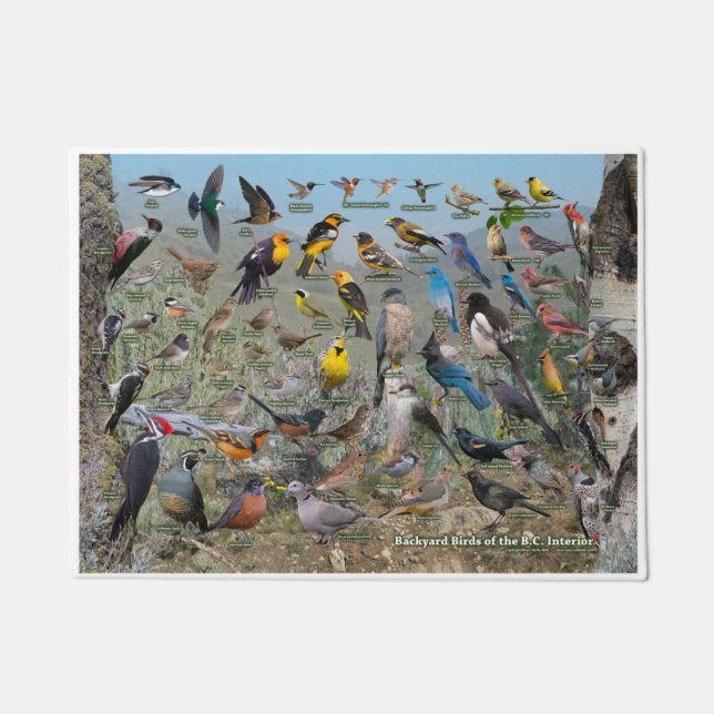 Hinterhofvögel des BC-Innenraums Fußmatte (Vorderseite)