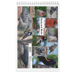 Hinterhofvögel im Mittelatlantik Kalender