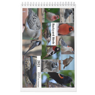 Hinterhofvögel im Mittelatlantik Kalender