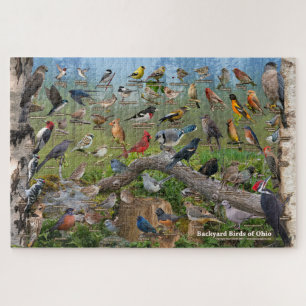 Hinterhofvögel im Ohio-Puzzle Puzzle