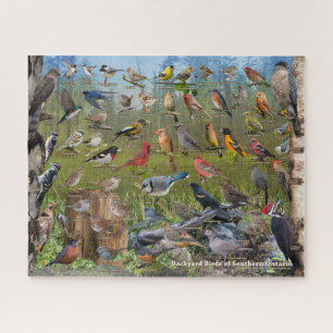 Hinterhofvögel im südlichen Ontario Puzzle