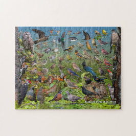 Hinterhofvögel im Westen Puzzle