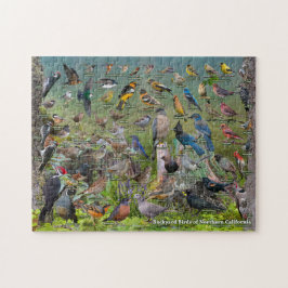 Hinterhofvögel in Nordkalifornien Puzzle