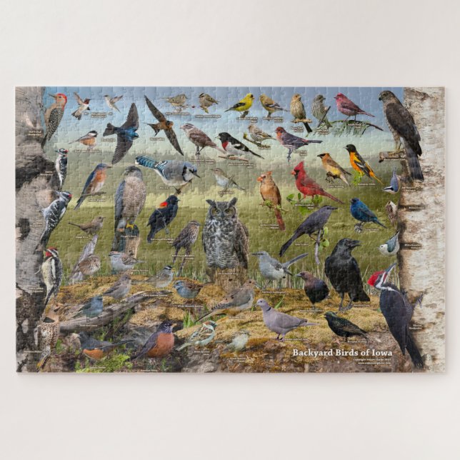 Hinterhofvögel von Iowa Puzzle (Horizontal)