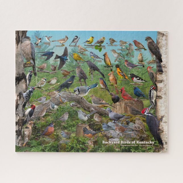 Hinterhofvögel von Kentucky Puzzle (Horizontal)