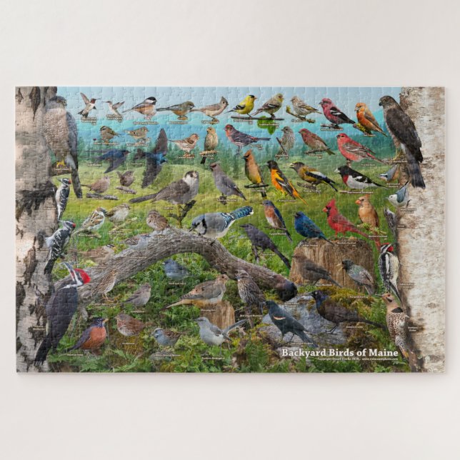 Hinterhofvögel von Maine Puzzle (Horizontal)