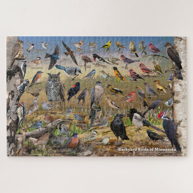 Hinterhofvögel von Minnesota Puzzle (Horizontal)