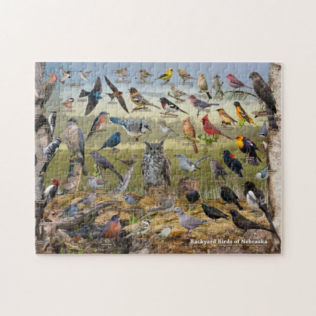 Hinterhofvögel von Nebraska Puzzle (Horizontal)