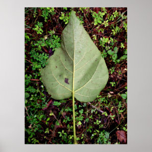 Hintern eines gefallenen Leaf Poster
