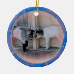 HINTERN-KÖPFE - BABY-ZIEGEN-WEIHNACHTSverzierunge Keramik Ornament
