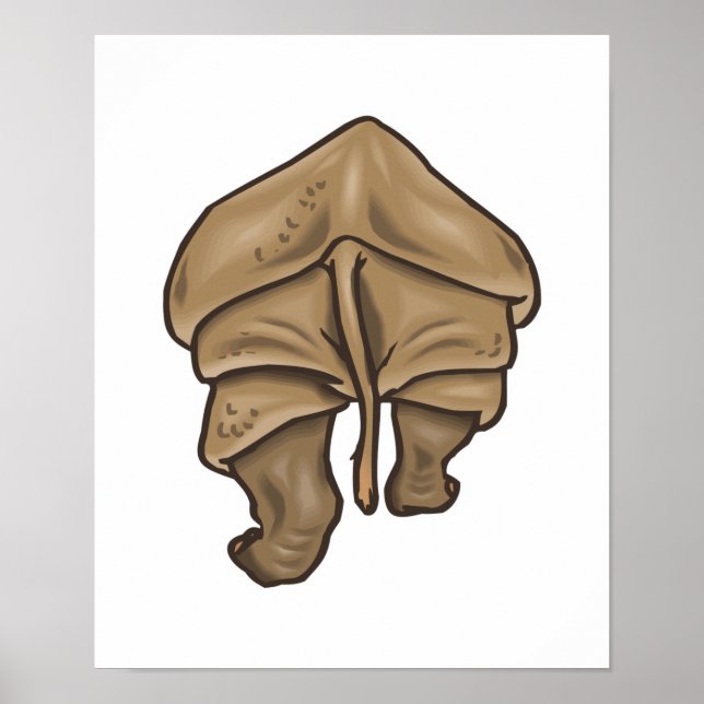 Hintern Poster (Vorne)