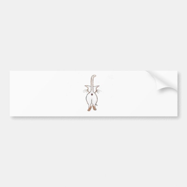 HINTERN WAS? AUTOAUFKLEBER (Vorne)