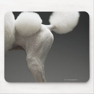 Hinterteile des Pudels, auf grauem Hintergrund Mousepad