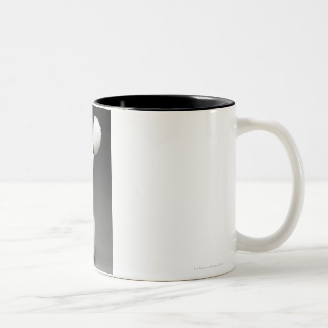 Hinterteile des Pudels, auf grauem Hintergrund Zweifarbige Tasse (Rechts)