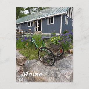 Hinterwälder von Quaint Maine Feiertagspostkarte