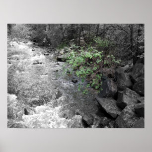 Hinweis auf Grün Poster