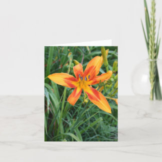 Hinweis Card Daylillies Karte
