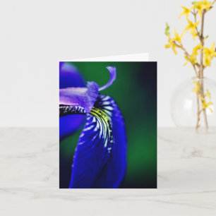 Hinweis für die blaue Flagge Iris-Blume Karte