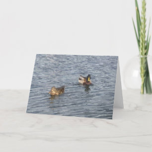 HINWEIS: Lago Harriet, "Ducks"_ Karte