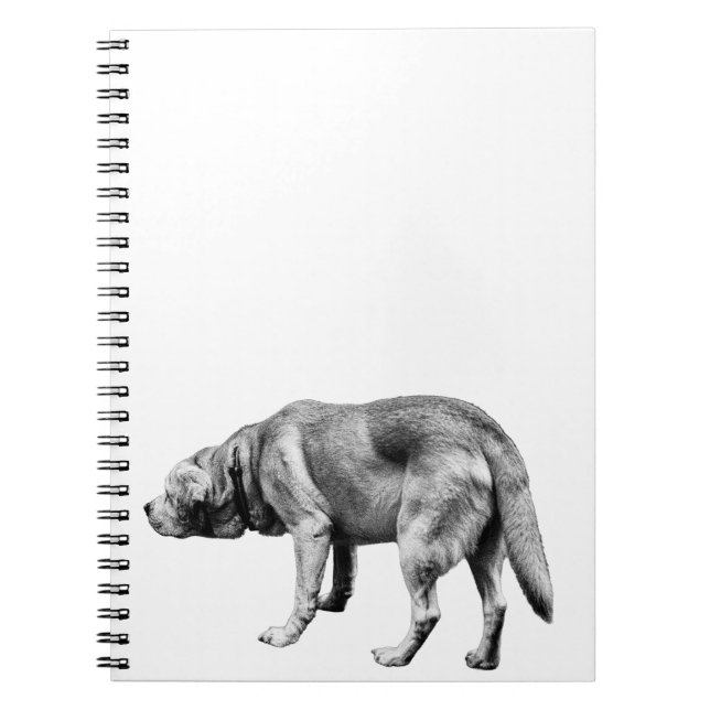 Hinweise aus einer faulen Patrouille Notizblock (Vorderseite)