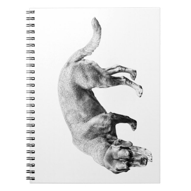 Hinweise zu Flüstern Notizblock (Vorderseite)