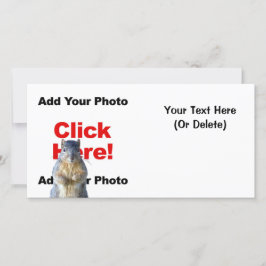 Hinzufügen einer benutzerdefinierten Eichhörnchen-