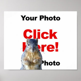 Hinzufügen eines benutzerdefinierten Eichhörnchen- Poster