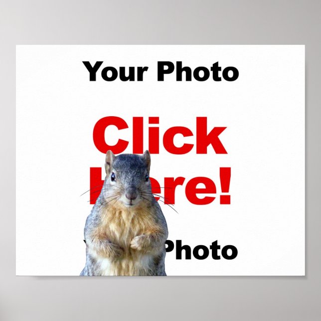 Hinzufügen eines benutzerdefinierten Eichhörnchen- Poster (Vorne)