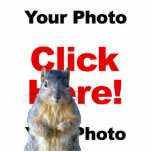 Hinzufügen eines benutzerdefinierten Eichhörnchens Freistehende Fotoskulptur<br><div class="desc">Benutzerdefiniertes Add-A-Eichhörnchen zu jedem Foto! Fügen Sie in wenigen Schritten ein hübsches Eichhörnchen zu jedem Foto, das Sie mögen. Laden Sie einfach Ihr Bild hoch und klicken Sie dann auf Mr. Squirrel, um ihn zu bewegen, oder ändern Sie seine Größe für ein wirklich originelles und unglaublich witzig Foto-Bomb-Foto, das Sie...</div>