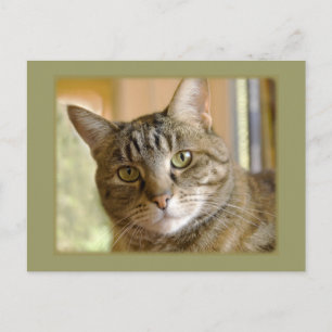 Hinzufügen eines benutzerdefinierten Foto-Thinking Postkarte