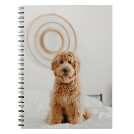 Hinzufügen eines eigenen Foto-Image-Logo-Bildabbil Notizblock