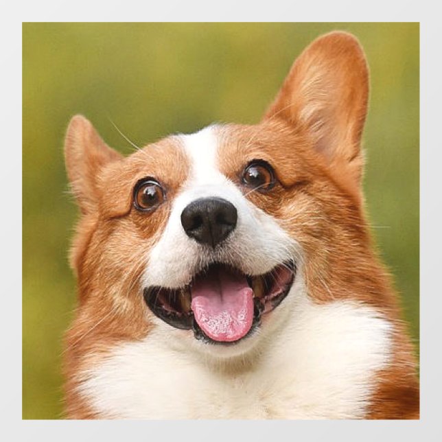 Hinzufügen eines Personalisierten, benutzerdefinie Fensteraufkleber (Blatt)