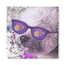 Hippie-'Chon, der Bichon-Magnet