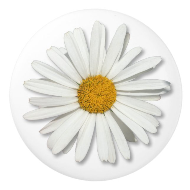 Hippie White Daisy Blume Blossom - Trendy Fashion Keramikknauf (Vorderseite)
