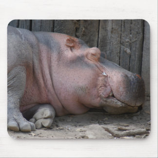 hippo2-4 mousepad